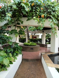 Palm Gardens (D23), Condominium #575365661